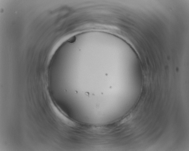 X0000067951531200604272046