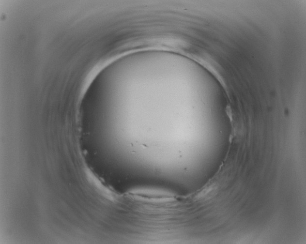 X0000067951532200604272046