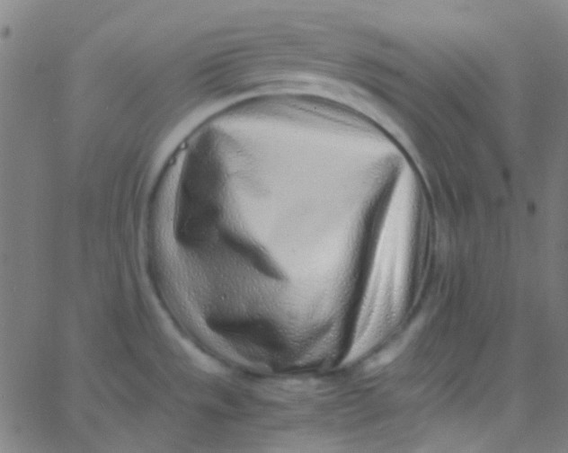 X0000067951533200604272046