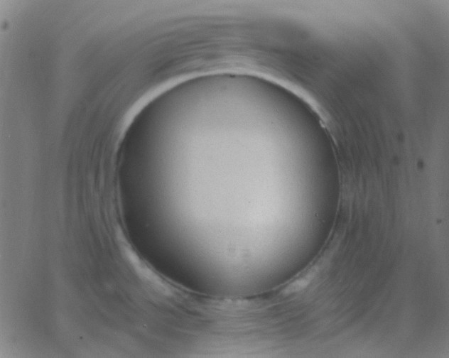 X0000067951534200604272047