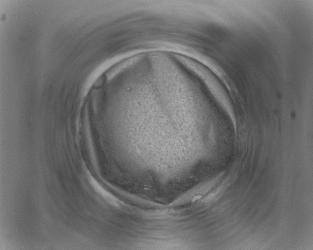 X0000067951535200604272047