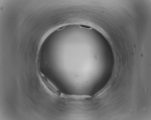 X0000067951536200604272047