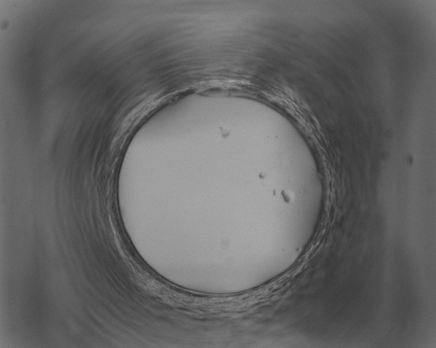 X0000067950001200605041837