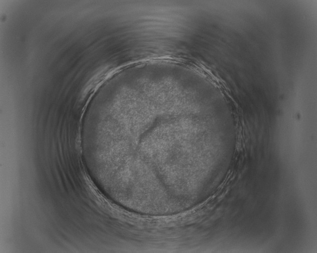 X0000067950002200605041837