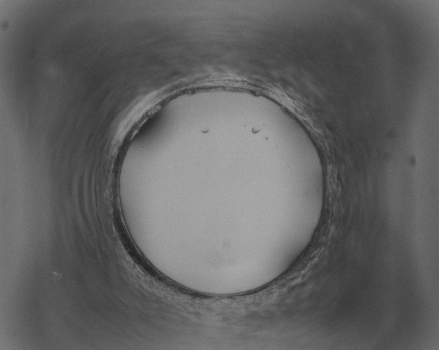 X0000067950007200605041837