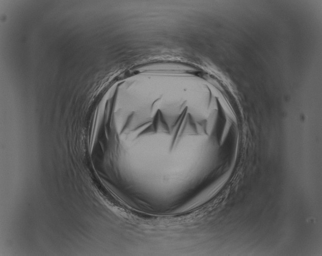 X0000067950009200605041837