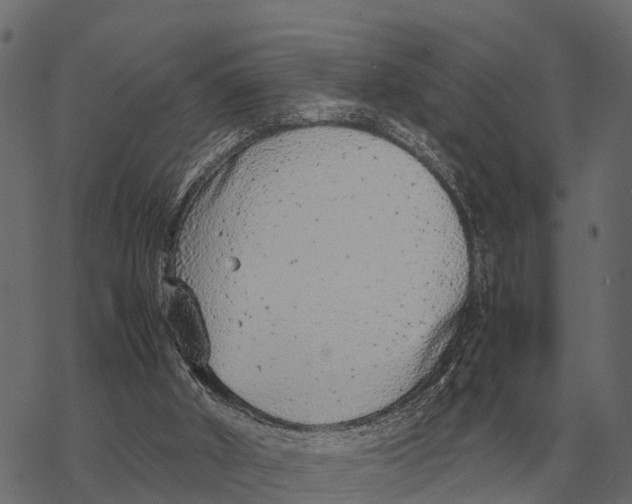 X0000067950010200605041837