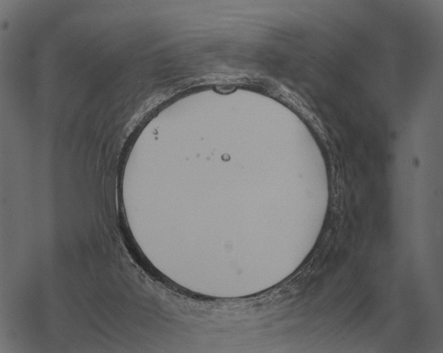 X0000067950011200605041837