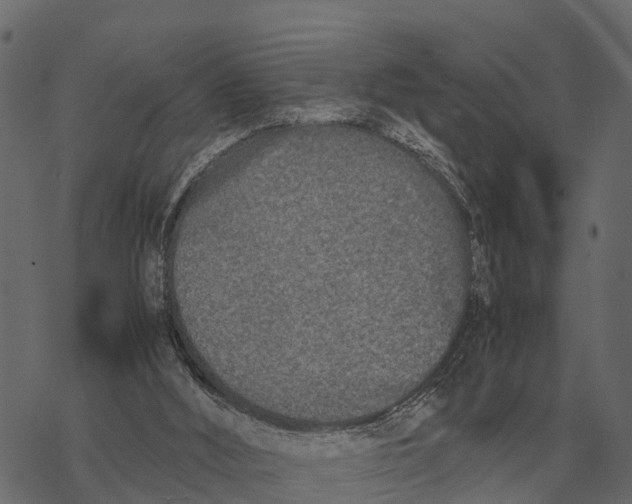 X0000067950012200605041837