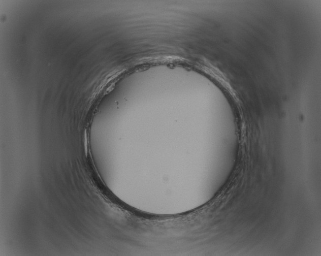 X0000067950013200605041837