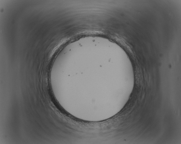 X0000067950015200605041837