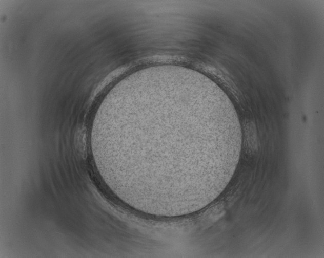 X0000067950016200605041837