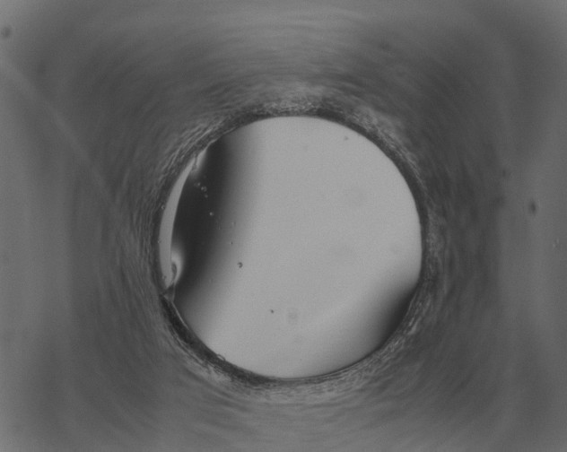 X0000067950017200605041837