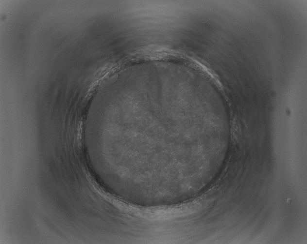 X0000067950018200605041837