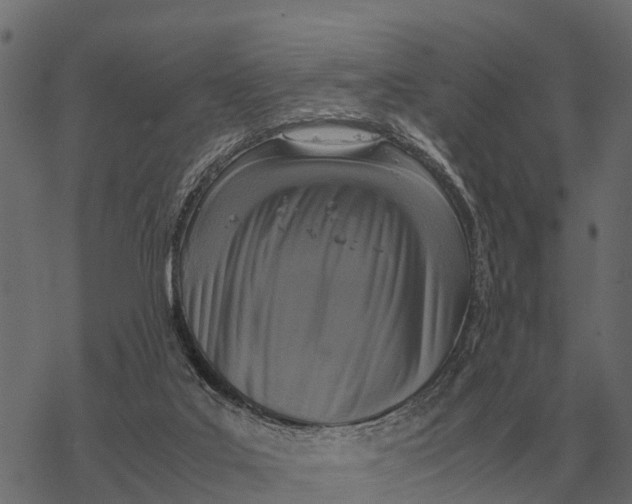 X0000067950019200605041837