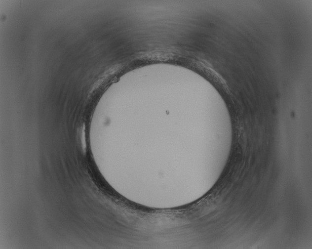 X0000067950020200605041837