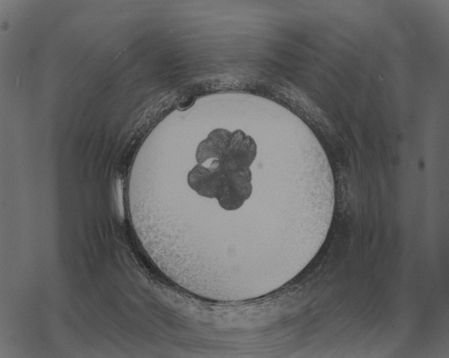 X0000067950022200605041837