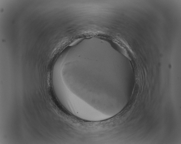 X0000067950023200605041837