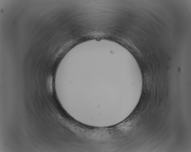 X0000067950024200605041837