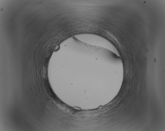 X0000067950025200605041837