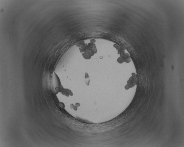 X0000067950026200605041837