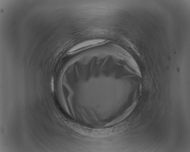 X0000067950027200605041837