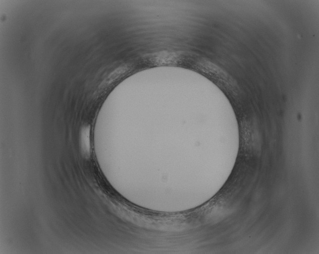 X0000067950028200605041837