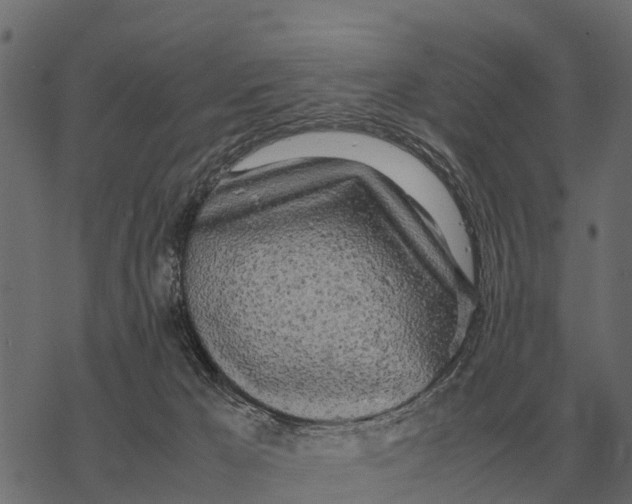 X0000067950029200605041837