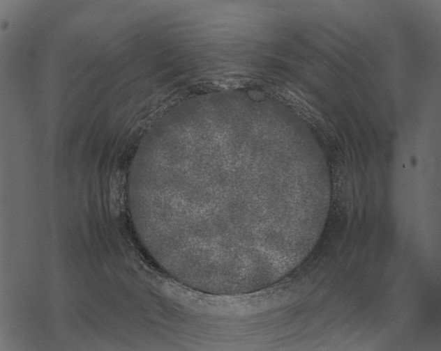 X0000067950030200605041837