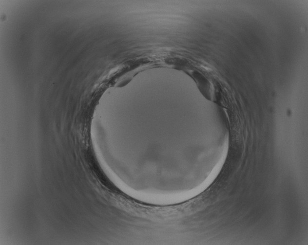 X0000067950031200605041837