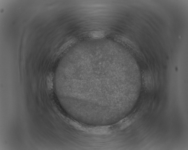 X0000067950032200605041837