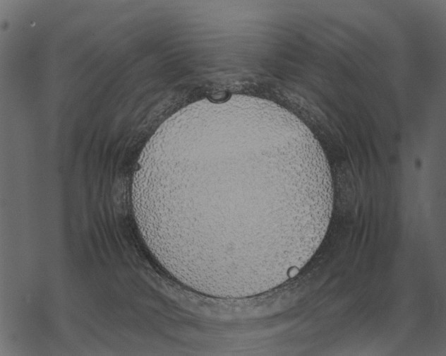 X0000067950034200605041837