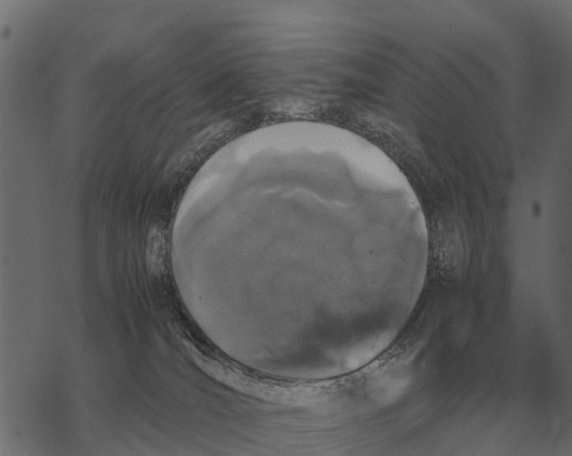 X0000067950036200605041837