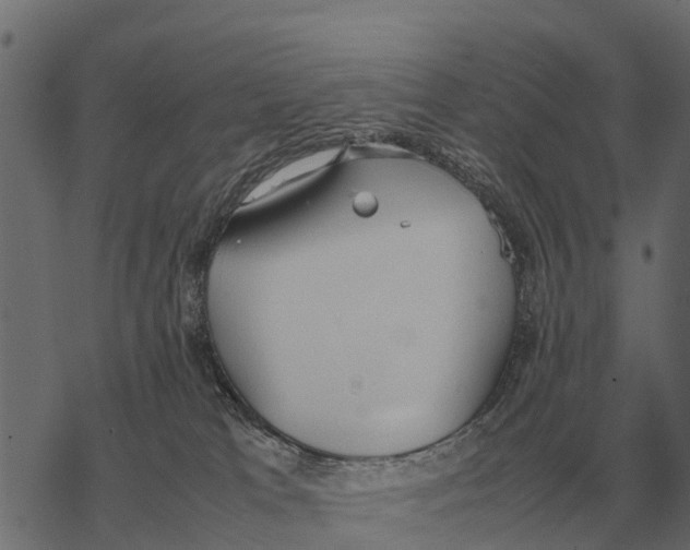 X0000067950037200605041837