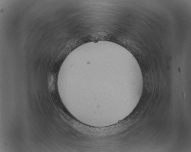 X0000067950038200605041837