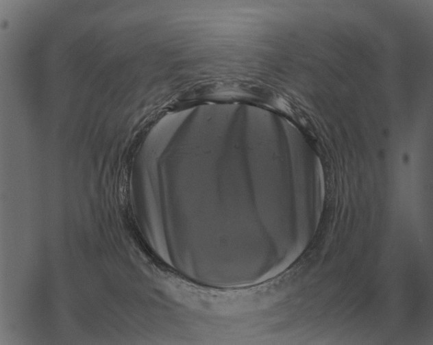 X0000067950039200605041837