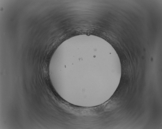 X0000067950040200605041837