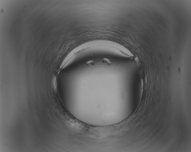 X0000067950041200605041837