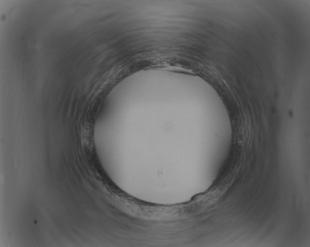 X0000067950044200605041837