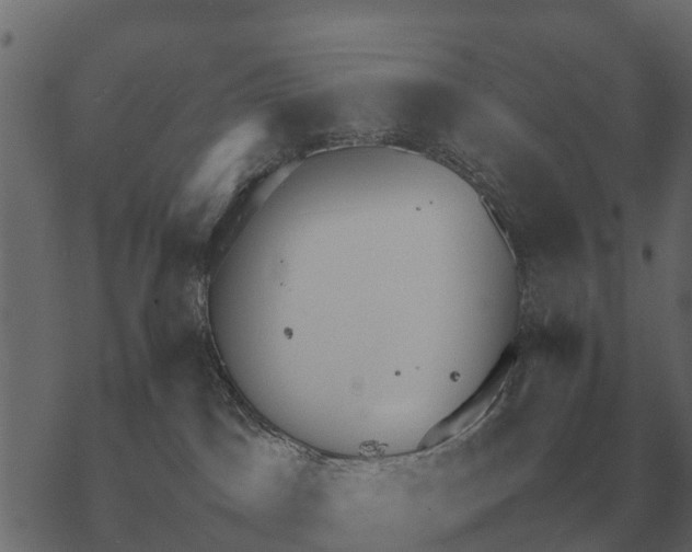 X0000067950045200605041837