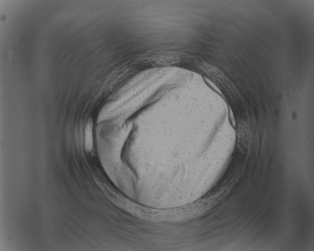 X0000067950046200605041837