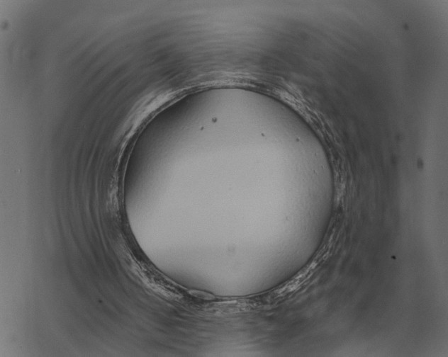 X0000067950050200605041836