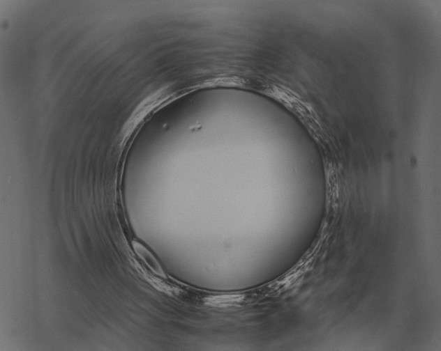 X0000067950051200605041836