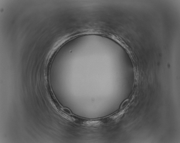 X0000067950055200605041836