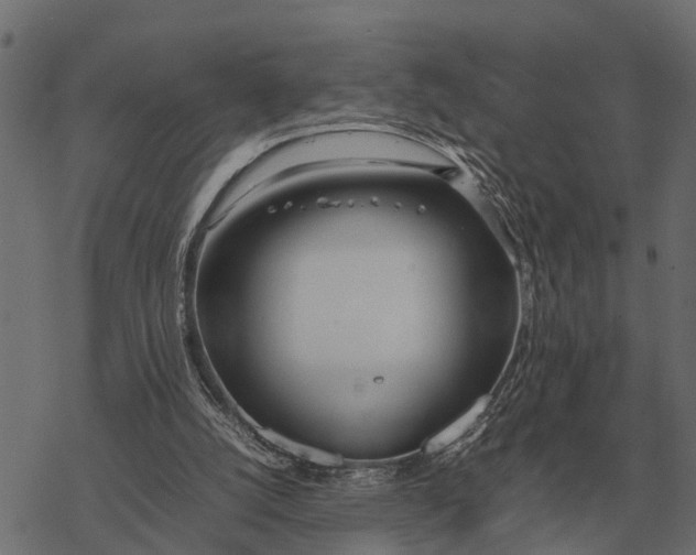 X0000067950056200605041836