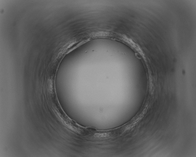 X0000067950057200605041836