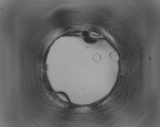 X0000067950059200605041836