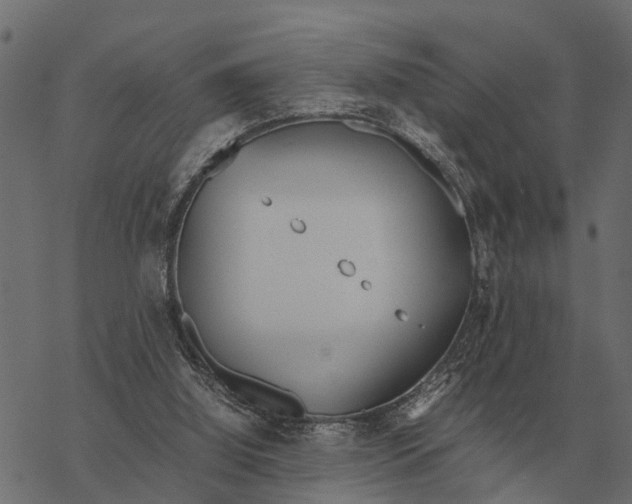 X0000067950060200605041836