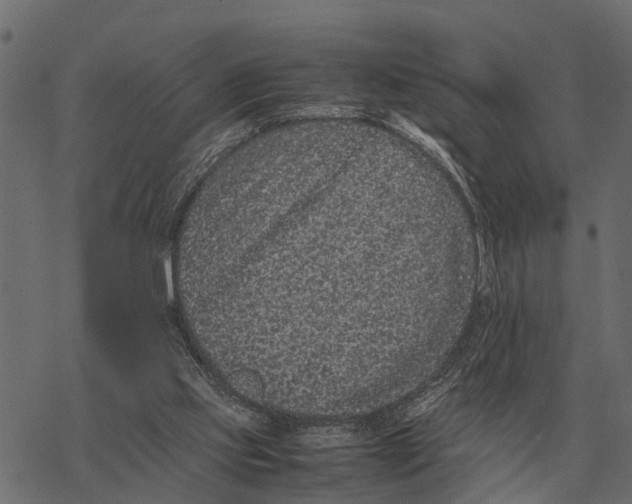 X0000067950061200605041836