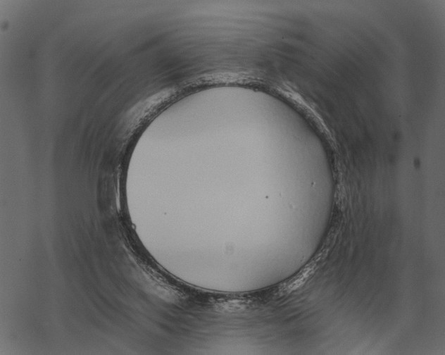 X0000067950062200605041836